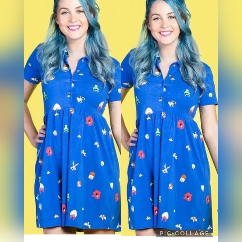 Cakeworthy Looney Tunes Cartoon Character Dress